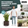 Kreher® XL Pflanzkasten „Millennium“ 39x39x39 cm - 40L Produktbild-Vorschau 5