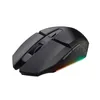 A black gaming mouse with RGB lighting on a white background. Produktbild-Vorschau
