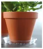 Auffangschale/Unterschale Pflanzentopf - transparent - Ø 32 Produktbild-Vorschau 2