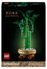Dracena sandera Podgląd zdjęcia produktu 35