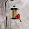 5 kg Vogelfutter, Premium-Mix für 4 Jahreszeiten, für Produktbild-Vorschau 5