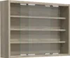 Závěsná vitrína Nástěnná vitrína Sammel Deko Agisa M Náhled obrázku produktu 6