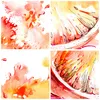 Bilder auf glas - Orange Obst Sommer - 120x80cm - Produktbild-Vorschau 8