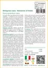 SAFLAX  - Melograno nano - 50 semi - Punica Anteprima dell’immagine prodotto 3
