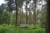 DD Hammocks DD Tarp 3 x 3 m Coyote Braun Regendach Zubehör Produktbild-Vorschau 8
