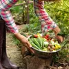 Kaliumdünger Gemüsedünger Rasendünger Universal Garten Produktbild-Vorschau 3
