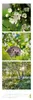 Wandkalender 2027 Triplet Natur, 33x100 cm, schlankes Produktbild-Vorschau 10