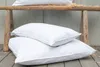 Premium Feder und Daunen Kopfkissen mit Zirbenholz 80x80cm, Produktbild-Vorschau 2