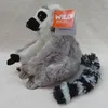 Wild Republic - Kuscheltier - Cuddlekins Mini - Katta Produktbild-Vorschau 5