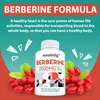 Berberine 2000mg (120 kapslí) doplněk stravy, srdce, krevní Náhled obrázku produktu 7