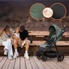 LIONELO IVA Buggy bis 22 kg, 6 Monaten–4 Jahre, 360° Räder, Produktbild-Vorschau 2