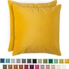Blumtal 2er Set Kissenbezug 50x50 cm Samt - edler Produktbild-Vorschau 1