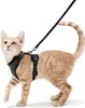 Katzengeschirr/Katzengeschirr/Leine Schwarzes Produktbild-Vorschau 1