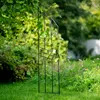 Jardin Terrasse Pergola pour rosiers - Idéal acier noir Voir les images du produit 8
