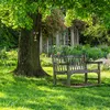 Relaxdays Baumgesicht 4-teilig, Baumstamm Deko, zum Hängen, Produktbild-Vorschau 5