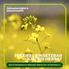 Gelbsenf Gründünger 2 kg Produktbild-Vorschau 6