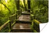 MuchoWow® Poster Schöner Regenwald und Dschungel 30x20 cm - Produktbild-Vorschau 1