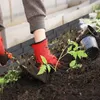 XMTECH Bordure de pelouse 5m Palissade de jardin aspect Voir les images du produit 9