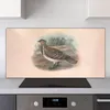 Coloray Küchenrückwand 140x70 Spritzschutz aus Glas - Vögel Produktbild-Vorschau 2