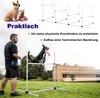 A man training a dog with agility equipment in a grassy outdoor setting. Produktbild-Vorschau