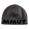 MAMMUT Uni Strickmütze Mammut Logo Beanie Produktbild-Vorschau 1