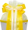 ROTH 679262 ROTH Schultütenschleife "Hello Yellow", gelb Voir les images du produit 1