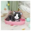 Zapf BABY nato Il mio gattino Biscotto con scatola Anteprima dell’immagine prodotto 18