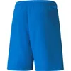 Puma Teamliga Shorts Herren - Royal Produktbild-Vorschau 2