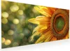 Küchenrückwand Spritzschutz Glas mit Motiv Sonnenblume Produktbild-Vorschau 1