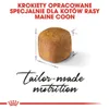Royal Canin Feline Kitten Maine Coon 36 4kg Anteprima dell’immagine prodotto 16