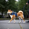 Blindenhund Schutzgeschirr Anti-Kollision Führhilfe für Produktbild-Vorschau 8