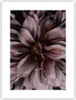 Poster - Poster ohne Rahmen - Blumenstrauß Künstlerisch Produktbild-Vorschau 1
