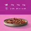 Whiskas Adult Saftige Stücke Pure Delight Beutel 48x85g Produktbild-Vorschau 5
