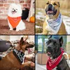 Kurtzy Baumwolle Bandana Set (12er Pack) - Multifunktionale Produktbild-Vorschau 7