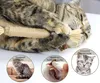 4er-Pack Kausticks für Katzen, Katzenminzensticks, Produktbild-Vorschau 7