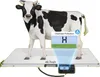 Bilancia digitale veterinaria e agricola, due modalità di Anteprima dell’immagine prodotto 1