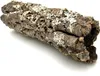 Tubo di sughero BioCork Tube XL in sughero di quercia Anteprima dell’immagine prodotto 4