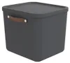 Rotho Aufbewahrungsbox 40L Maloja - Kunststoffbox mit Produktbild-Vorschau 1