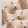 Dekostoff Meterware Baumwollstoff Halbpanama Sheep Flock Produktbild-Vorschau 3