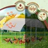 Jopassy kurnik zewnętrzny duży kurnik dachowy wybieg kurnik Podgląd zdjęcia produktu 5