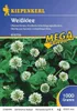 Kiepenkerl Weissklee, 1 kg - 615724 Produktbild-Vorschau 4