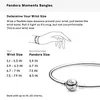Pandora Armband PAA0082 (Länge: 19cm) Produktbild-Vorschau 19