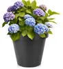 Plastový zahradní květináč černý kulatý 39 cm Náhled obrázku produktu 1