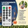 A remote control for Christmas lights is shown with a list of its functions and a background of a house and Christmas lights. Produktbild-Vorschau