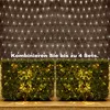 A net of white lights is draped over a wooden fence, with two green bushes decorated with yellow lights in the foreground. Produktbild-Vorschau