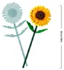 40524 Extractos vegetales de girasol Vista previa de la imagen del producto 16