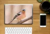 MuchoWow® Laptop Aufkleber Sticker Cover Vogel - Tiere - Produktbild-Vorschau 2