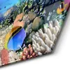 DEQORI Glasbild Echtglas 55x48 cm 'Lebensraum Korallenriff' Produktbild-Vorschau 4