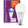 A product shot of a smart LED light bulb and its packaging. Anteprima dell’immagine prodotto