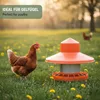 Agrarzone Mangeoire automatique avec protection contre la Voir les images du produit 6